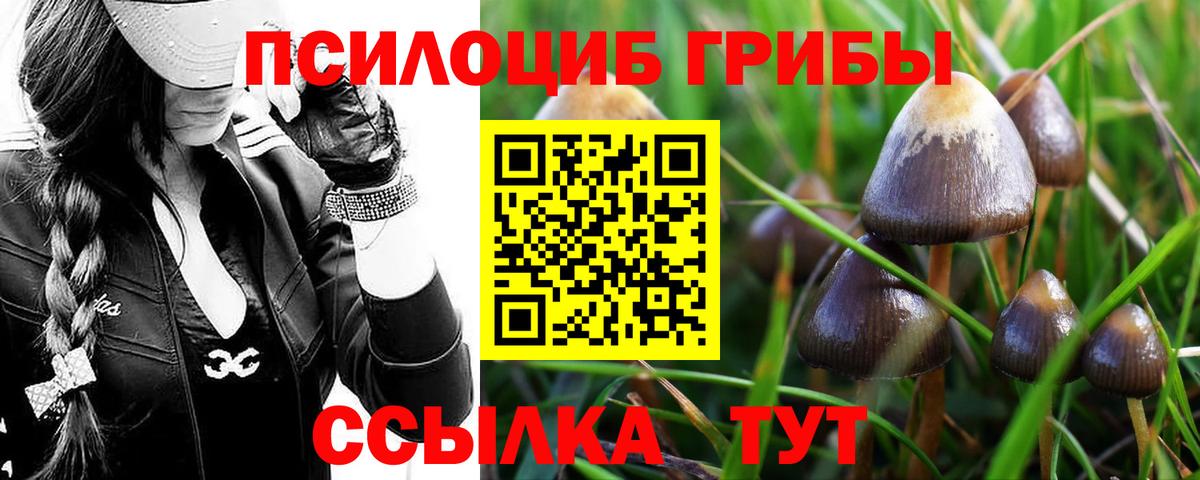 Псилоцибиновые грибы GOLDEN TEACHER  Вход с VPN  купить  сайты  Псилоцибиновые грибы Cubensis  Североуральск 